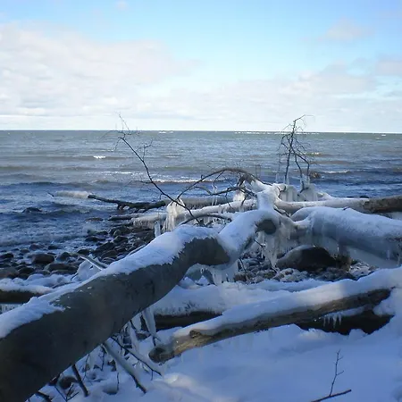 Lejlighed 9 Ostsee-ferienwohnung-sellin *