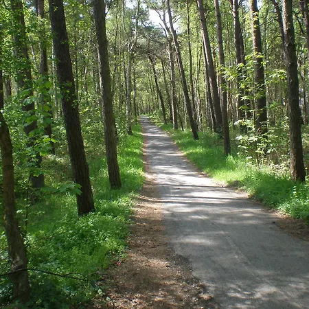 9 Ostsee-ferienwohnung-sellin Sellin (Rugen)