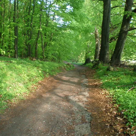 Lejlighed 9 Ostsee-ferienwohnung-sellin Sellin (Rugen)