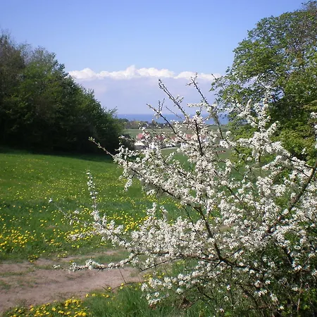 9 Ostsee-ferienwohnung-sellin Sellin (Rugen)