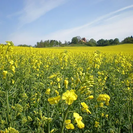 Lejlighed 9 Ostsee-ferienwohnung-sellin