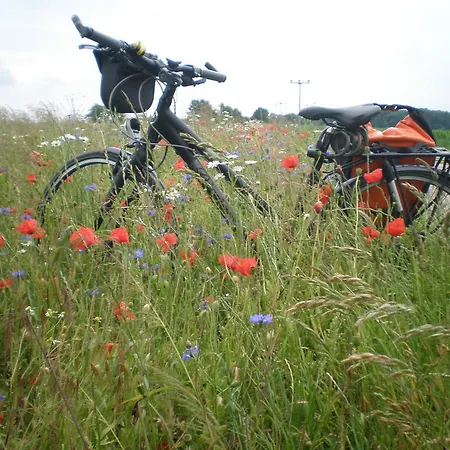 9 Ostsee-ferienwohnung-sellin