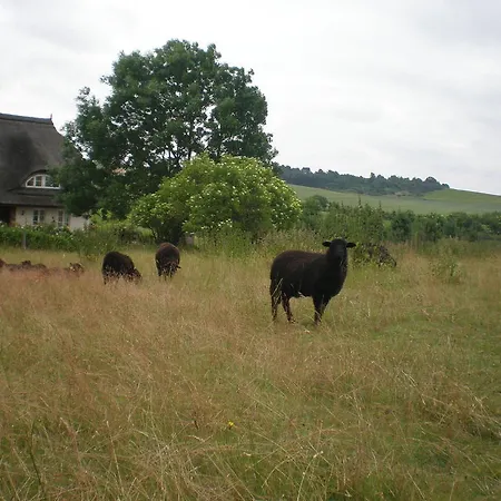 Lejlighed 9 Ostsee-ferienwohnung-sellin Sellin (Rugen)