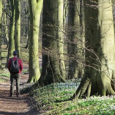 Lejlighed 9 Ostsee-ferienwohnung-sellin *