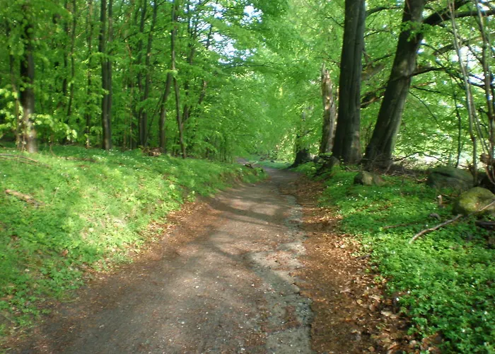 Apartamento 9 Ostsee-ferienwohnung-sellin Sellin (Rugen)