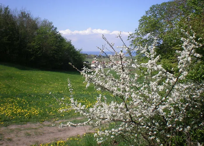 9 Ostsee-ferienwohnung-sellin Sellin (Rugen)