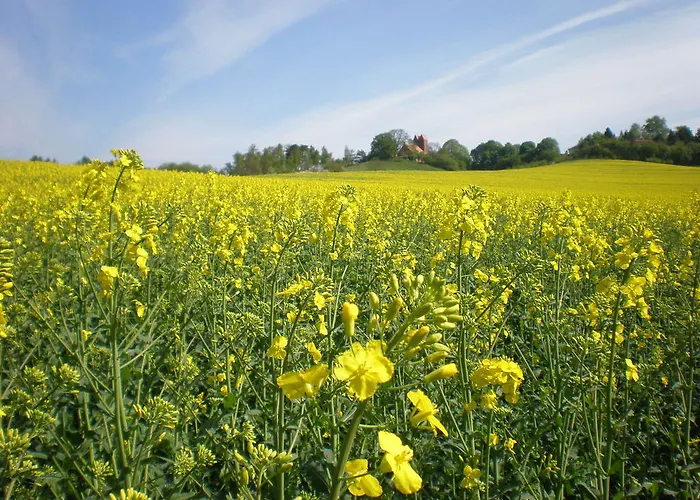 Apartamento 9 Ostsee-ferienwohnung-sellin