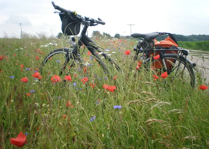 9 Ostsee-ferienwohnung-sellin