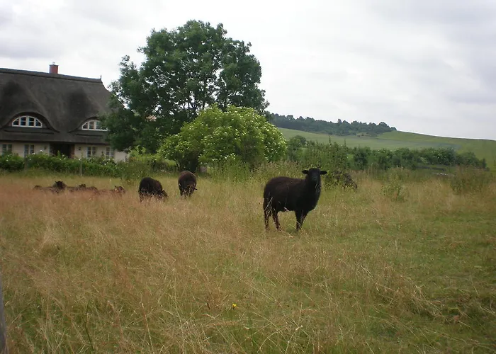 Apartmán 9 Ostsee-ferienwohnung-sellin Sellin (Rugen)