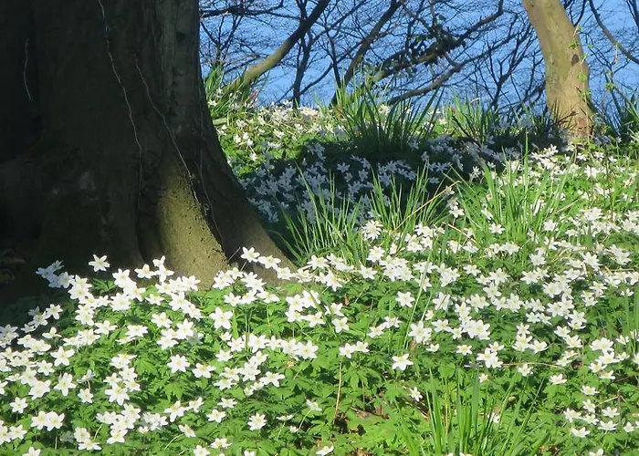 Apartamento 9 Ostsee-ferienwohnung-sellin