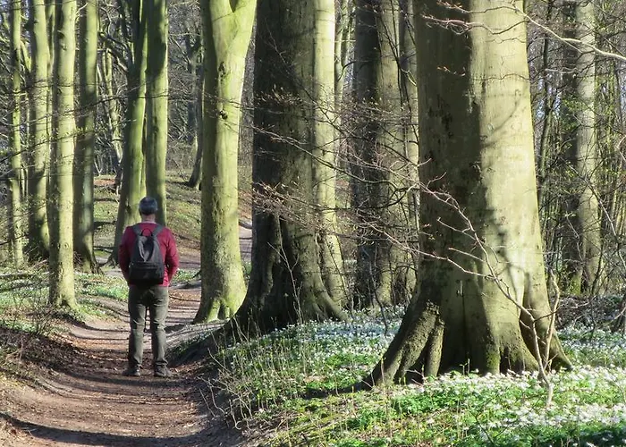 Apartamento 9 Ostsee-ferienwohnung-sellin *