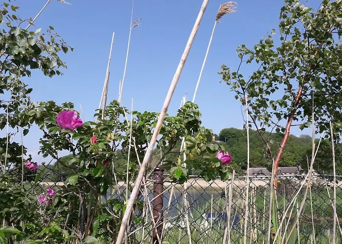 Apartamento 9 Ostsee-ferienwohnung-sellin Sellin (Rugen)