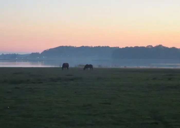 9 Ostsee-ferienwohnung-sellin Apartamento